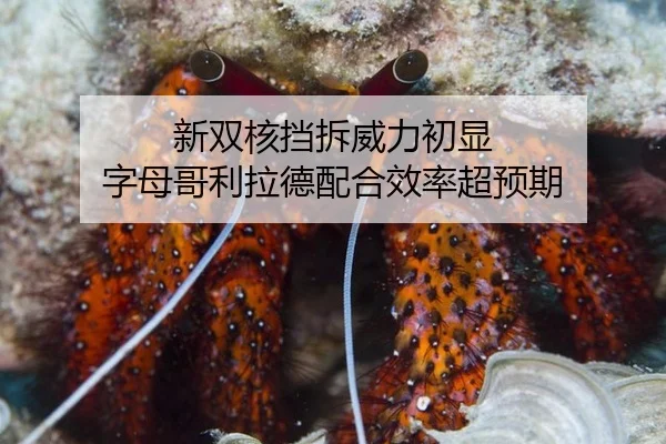xin-shuang-he-dang-chai-wei-li-chu-xian-zi-mu-ge-li-la-de-pei-he-xiao-lv-chao-yu-qi-1-604.jpg